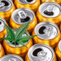 Cannabis Drinks Are Trending — But Not Risk-Free